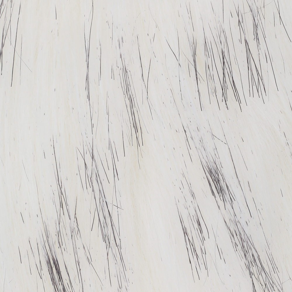 White Balck Tip