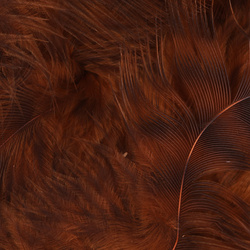 Hareline Grizzly plumas para hackle blando