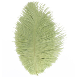 FFGene Plumas de avestruz para hackle