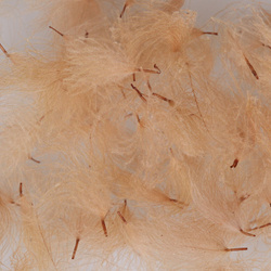 Hareline Penachos de CDC Oiler