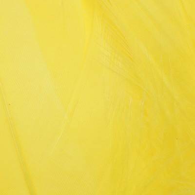 Brt. Yellow