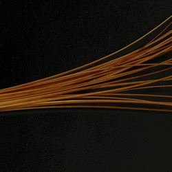Hareline Cálamo de pluma para cuerpos