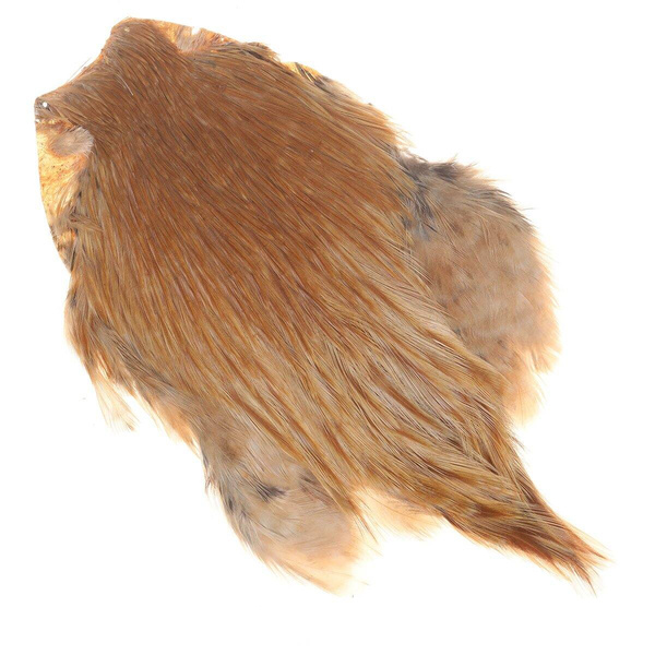 Cuello de gallo FFGene India Clase A