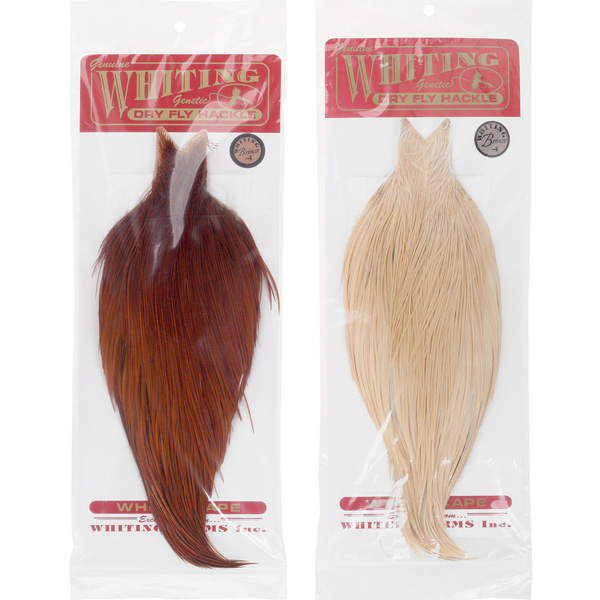 Capa de plumas del cuello de gallo Whiting Bronze