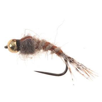 Tungsteno BH Lt. Oreja de liebre