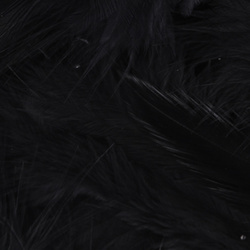 Metz plumas para hackle blando