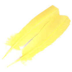FFGene Plumas de ala de pavo