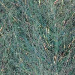 Cepillo H2O Flash Blend Baitfish de 5 pulgadas (flash)