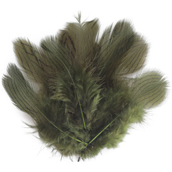 FFGene Plumas de faisán plateado