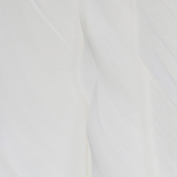 Paletillas de ganso FFGene