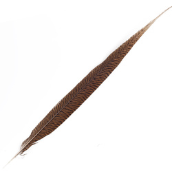 FFGene Plumas de cola de faisán dorado