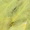 Yellow Fluo