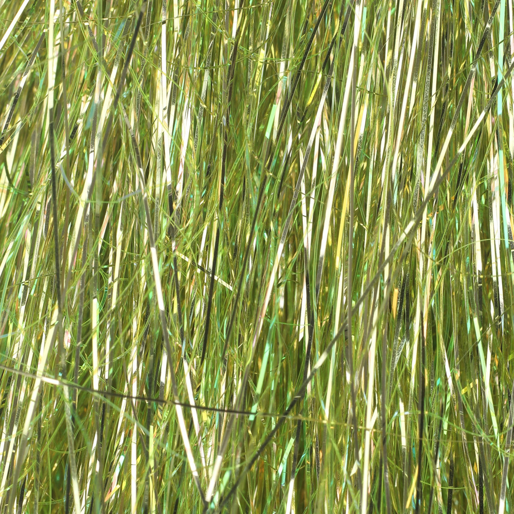 Chartreuse