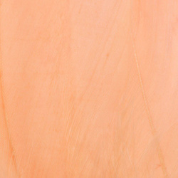 FFGene Hombros de ganso