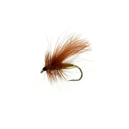 Sedge CDC Lt. Oliva (432)