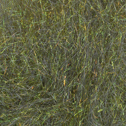 Doblaje Sybai Baitfish Supreme