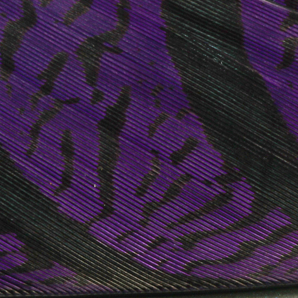 Hareline Plumas centrales de la cola de faisán de Amherst