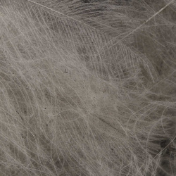 FFGene CDC Oxyd Jambo Pack - 1 gr