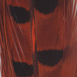 Cola de faisán Spirit River UV2 Ringneck