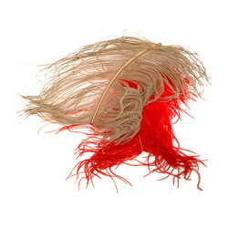 Wapsi Plumas de avestruz