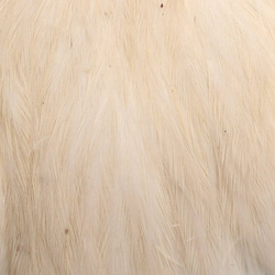 Hareline cuello de gallina