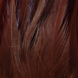 FFGene Plumas de colgadera en ristra
