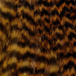 Cuello de gallina Wapsi Grizzly