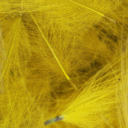 FFGene Paquete Jambo de plumas CDC teñidas - 1 gr