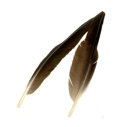 Wapsi Plumas remeras de ganso