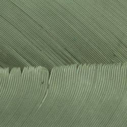 Hareline Turkey Biot Quills