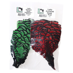 Hareline plumas de la cabeza de faisán de Lady Amherst