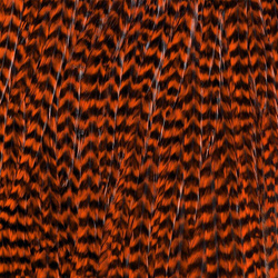 Ewing Grizzly Half Saddles