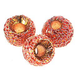 Cuentas de tungsteno FFGene Tungsten Furrow Beads