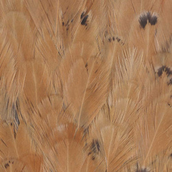 Colgadera de gallina FFGene India