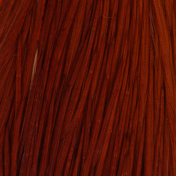 FFGene Howard Hackle cuello de plumas de gallo #3