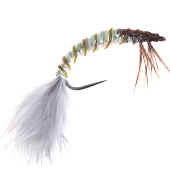 PL Wowen Ninfa Oliva