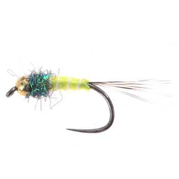 Ninfa de cola amarilla BH de tungsteno