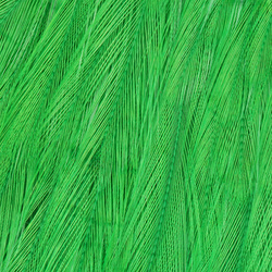 Capa de plumas del cuello de gallo chino para streamers Wapsi