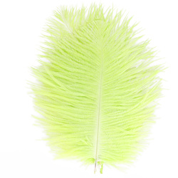 FFGene Plumas de avestruz para hackle