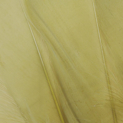 FFGene Hombros de ganso