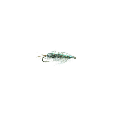 Gambas grises (207)