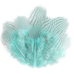FFGene Plumas de faisán plateado
