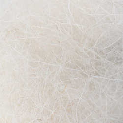 Doblaje de cabra de cachemira FFGene