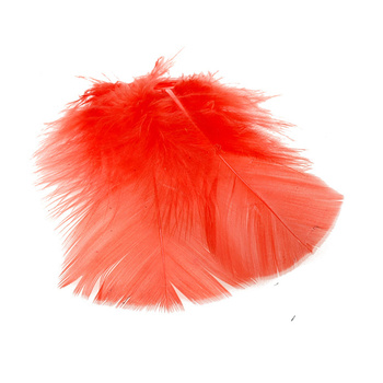 FFGene Sustituto de plumas de ibis
