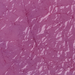 Sybai Láminas finas de dorso y alas