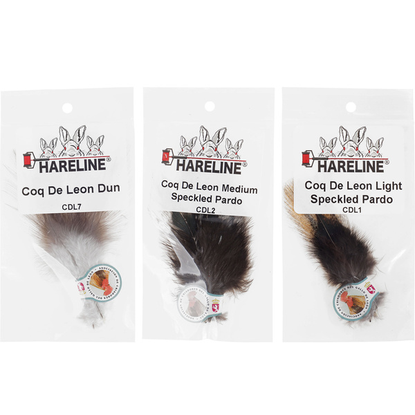 pluma Coq de Leon