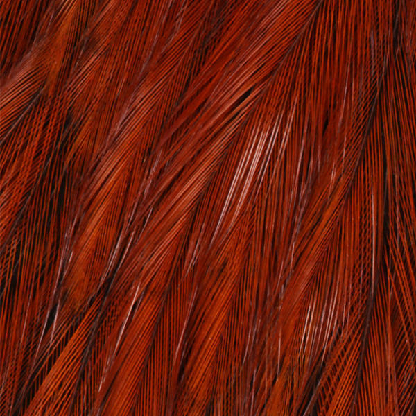 Pluma del cuello de gallo para streamers Wapsi