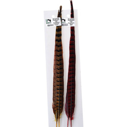 Hareline Plumas de cola de faisán de collar