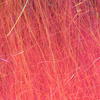 Shel Pink / Hot Pink Back