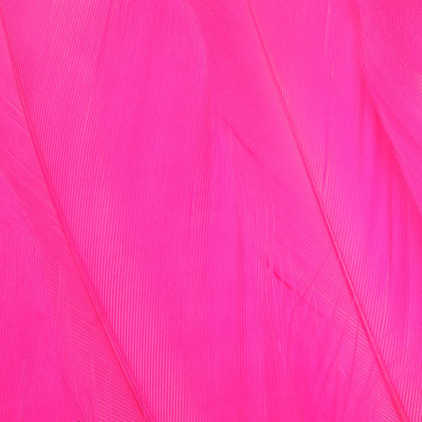 FFGene Plumas escapulares de ganso
